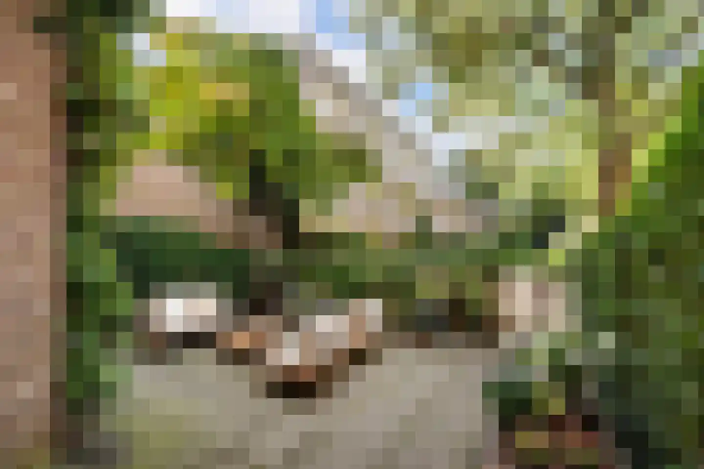 Tuinwijklaan 3 Haarlem thumbnail 25