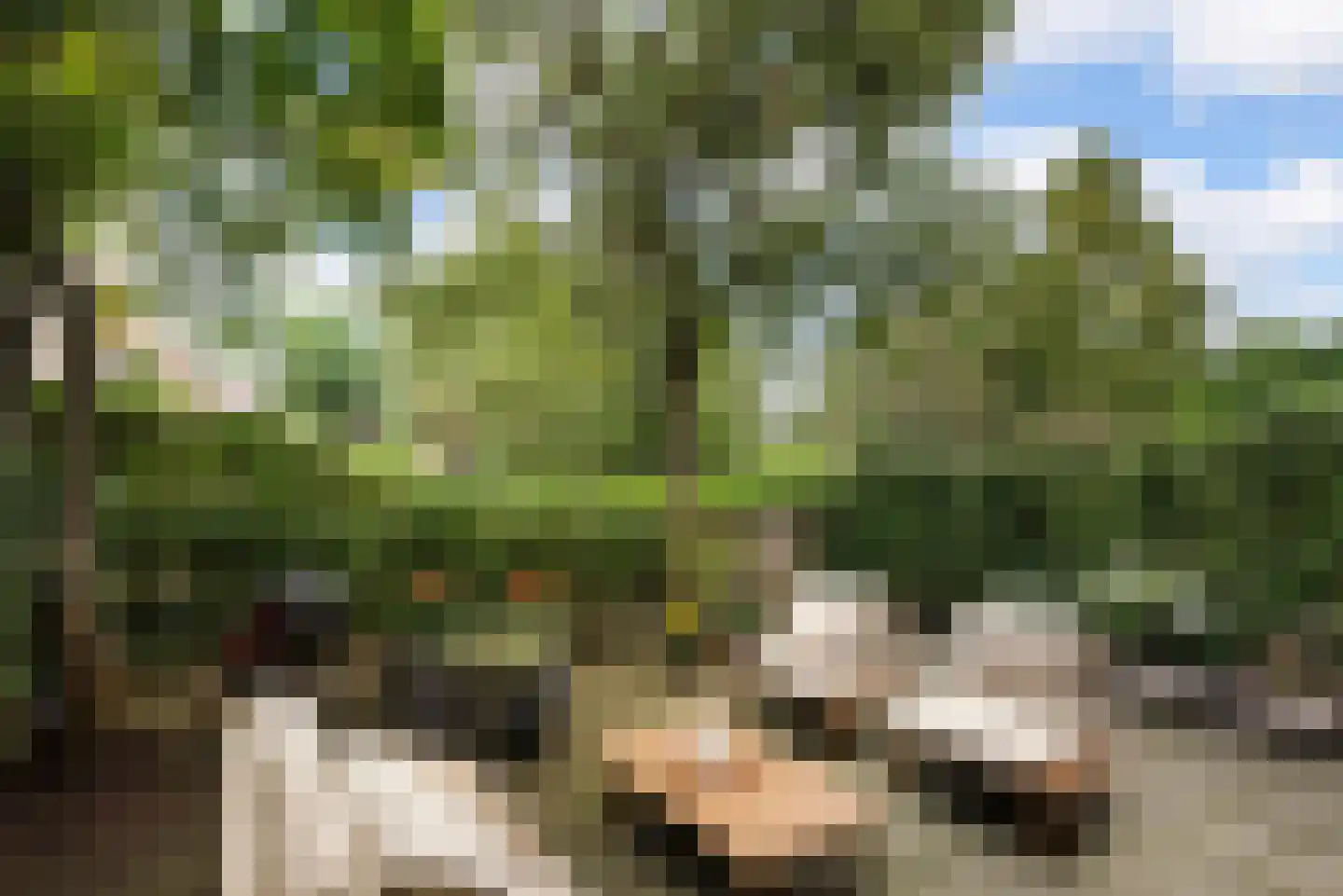 Tuinwijklaan 3 Haarlem thumbnail 26