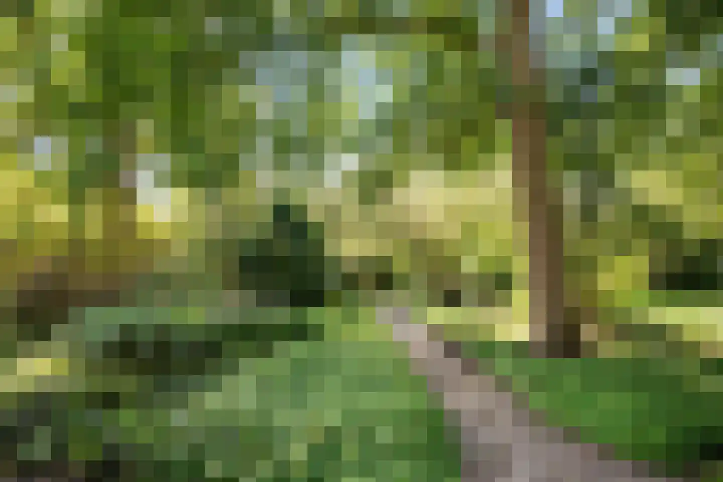 Tuinwijklaan 3 Haarlem thumbnail 27