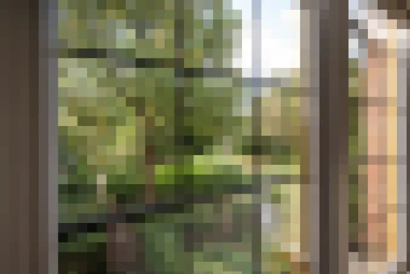 Tuinwijklaan 3 Haarlem thumbnail 33