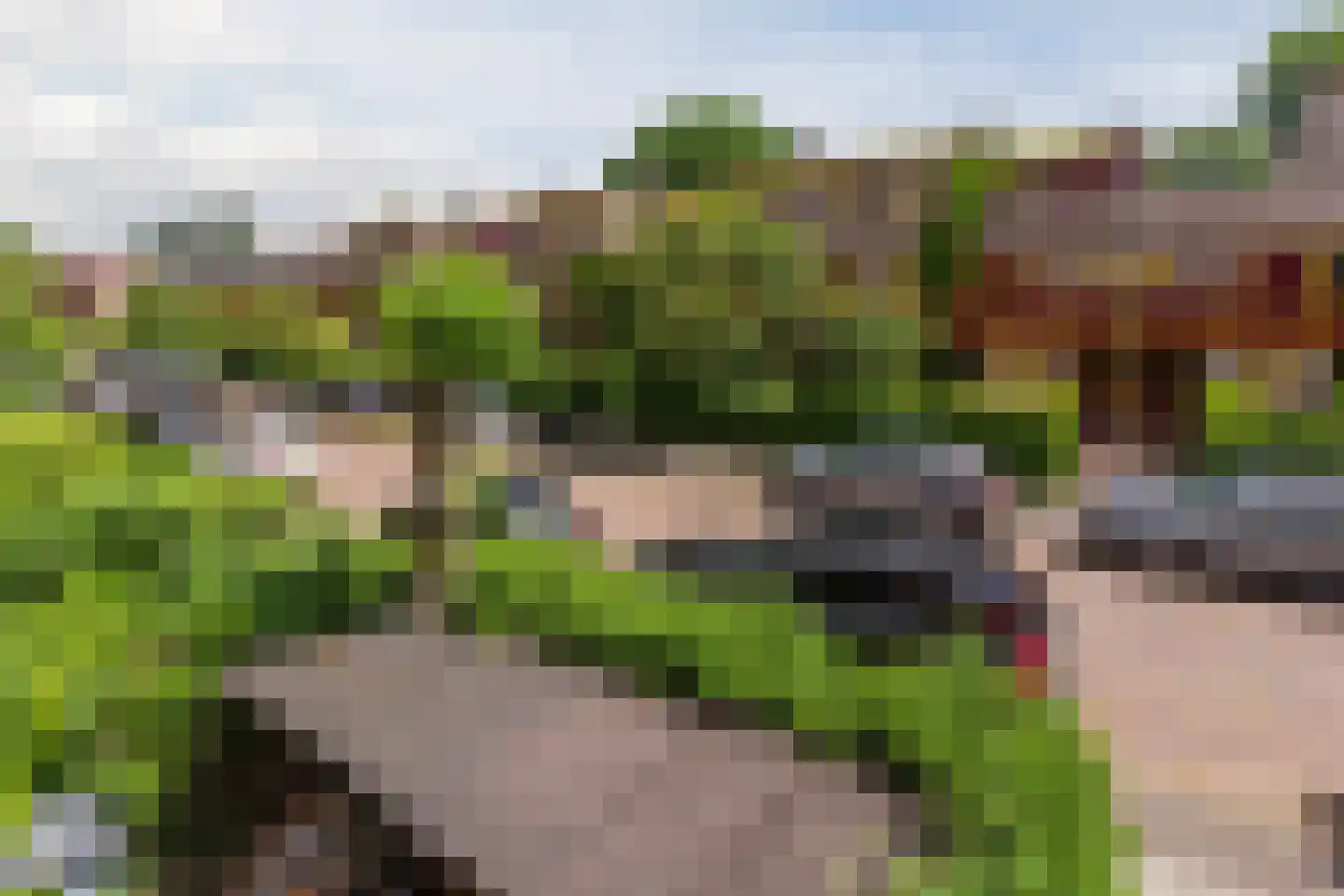Tuinwijklaan 3 Haarlem thumbnail 53