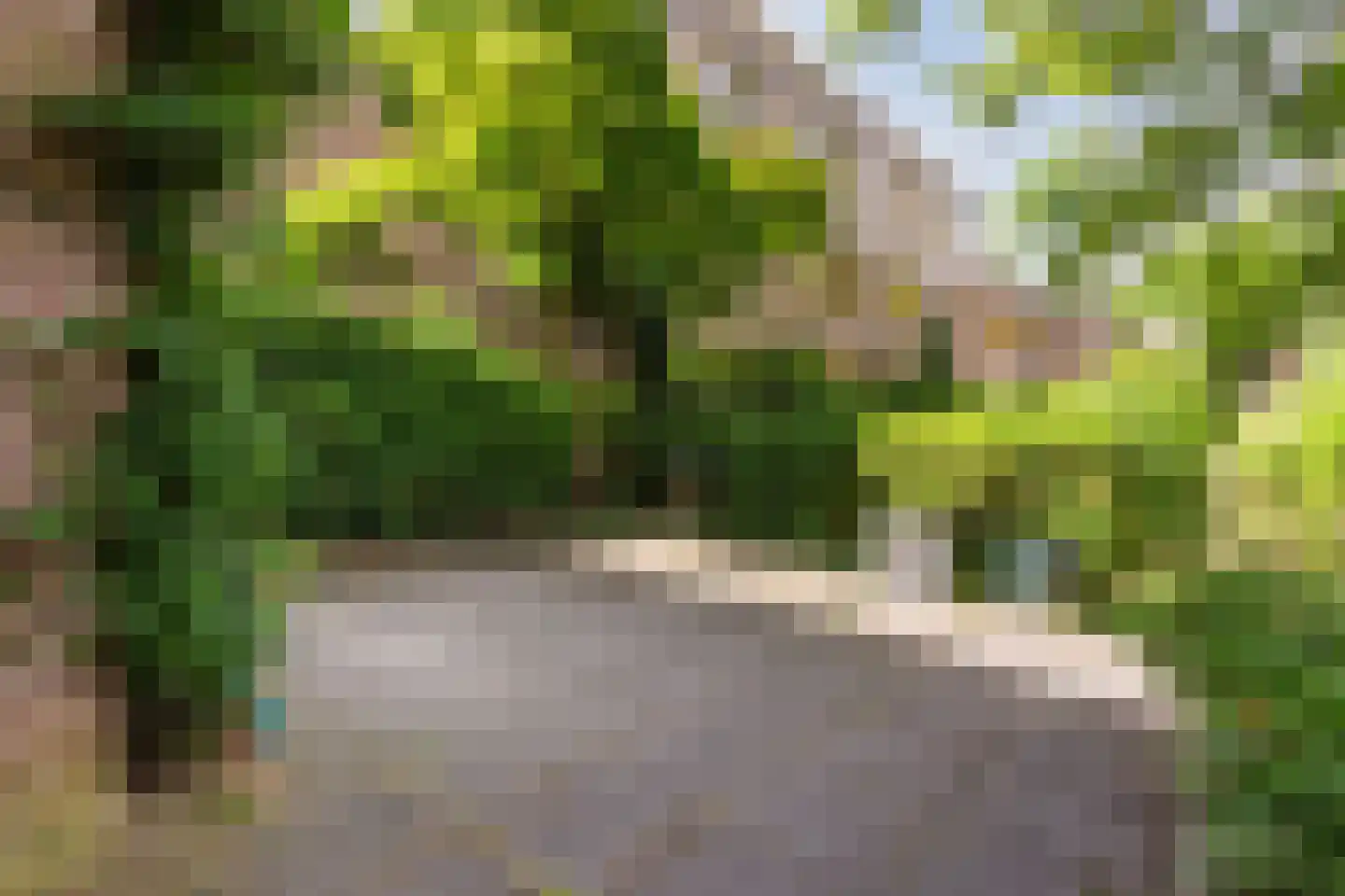 Tuinwijklaan 3 Haarlem thumbnail 57