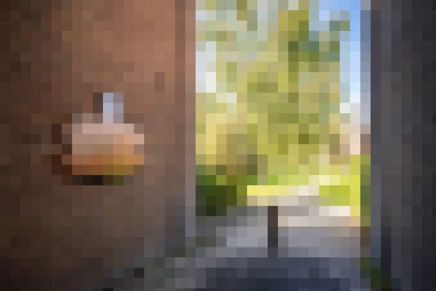 Tuinwijklaan 3 Haarlem thumbnail 59