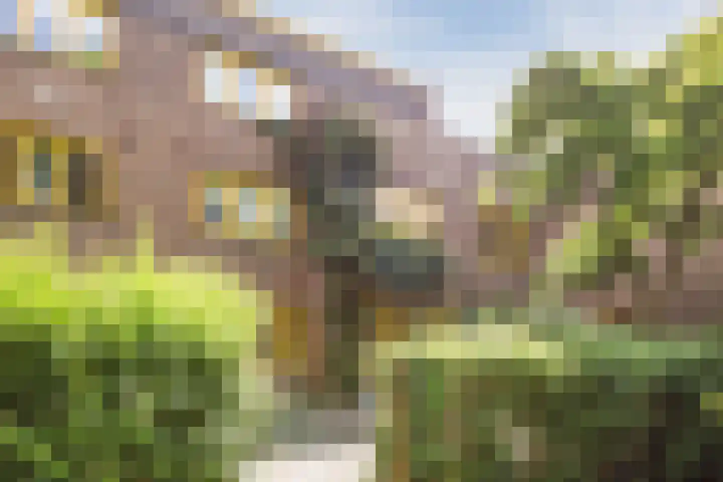 Tuinwijklaan 3 Haarlem thumbnail 59
