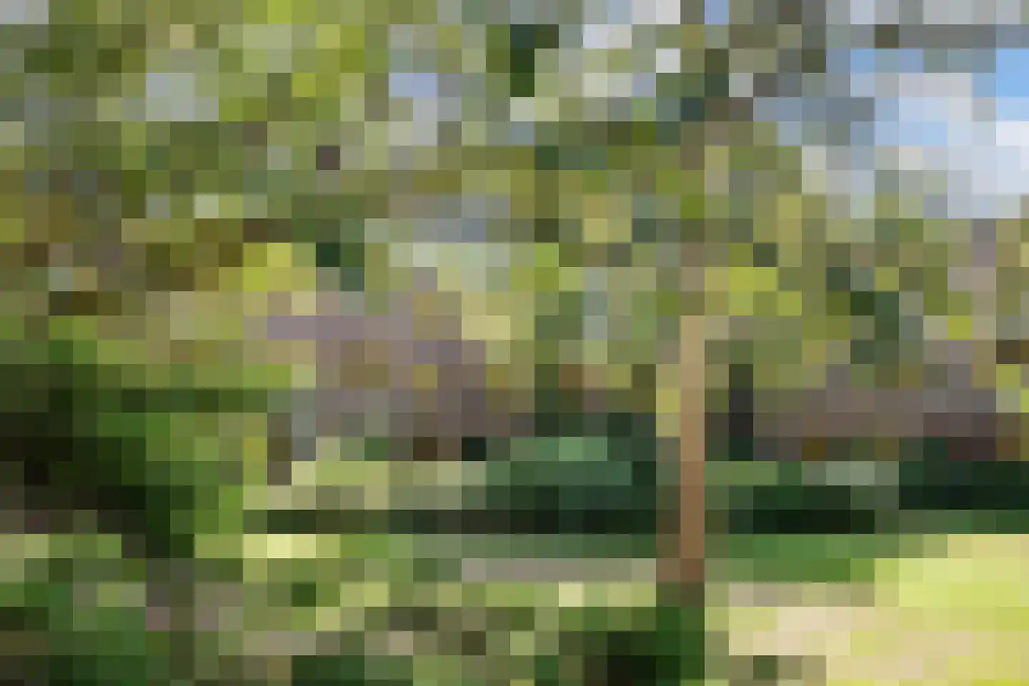 Tuinwijklaan 3 Haarlem thumbnail 60