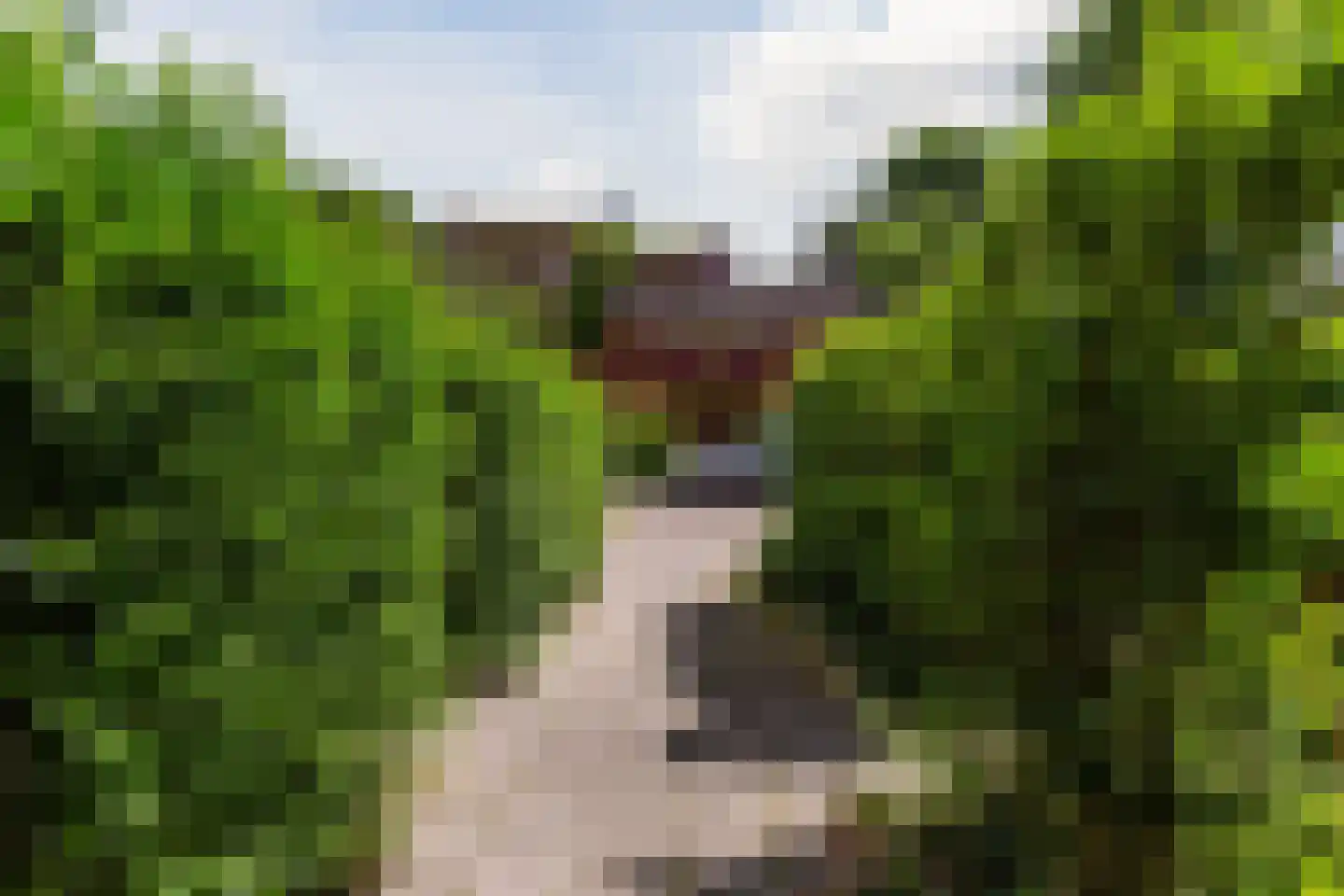 Tuinwijklaan 3 Haarlem thumbnail 63