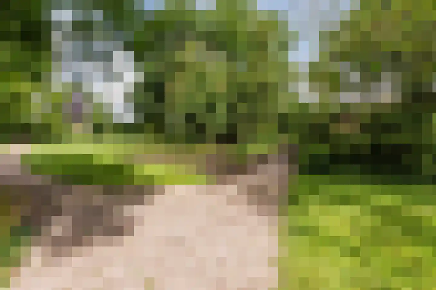 Tuinwijklaan 3 Haarlem thumbnail 64