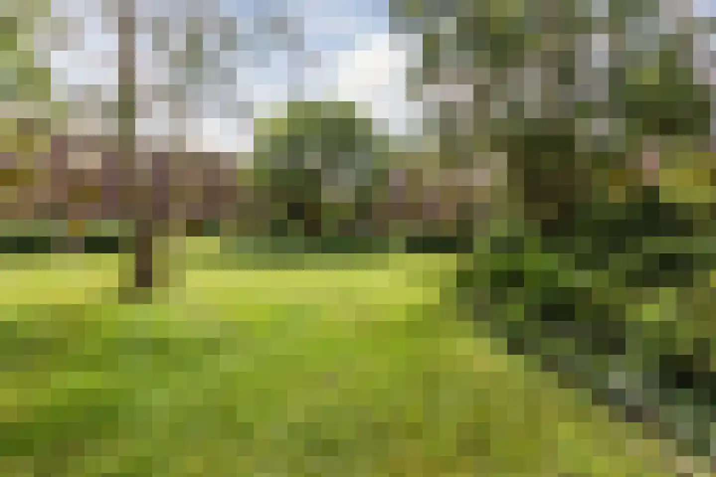 Tuinwijklaan 3 Haarlem thumbnail 65