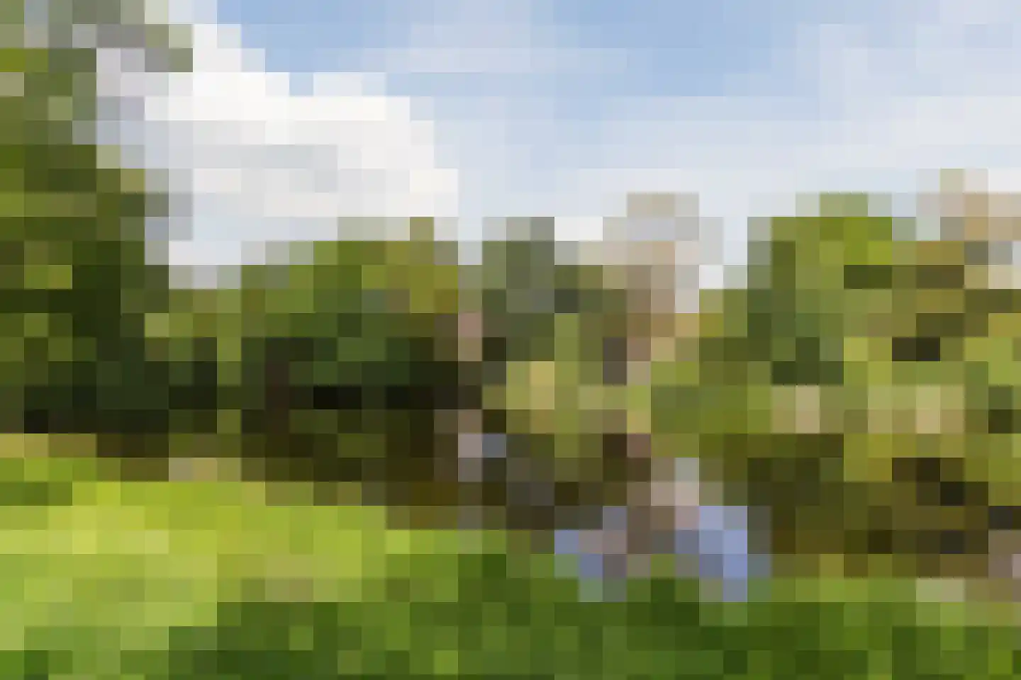 Tuinwijklaan 3 Haarlem thumbnail 66