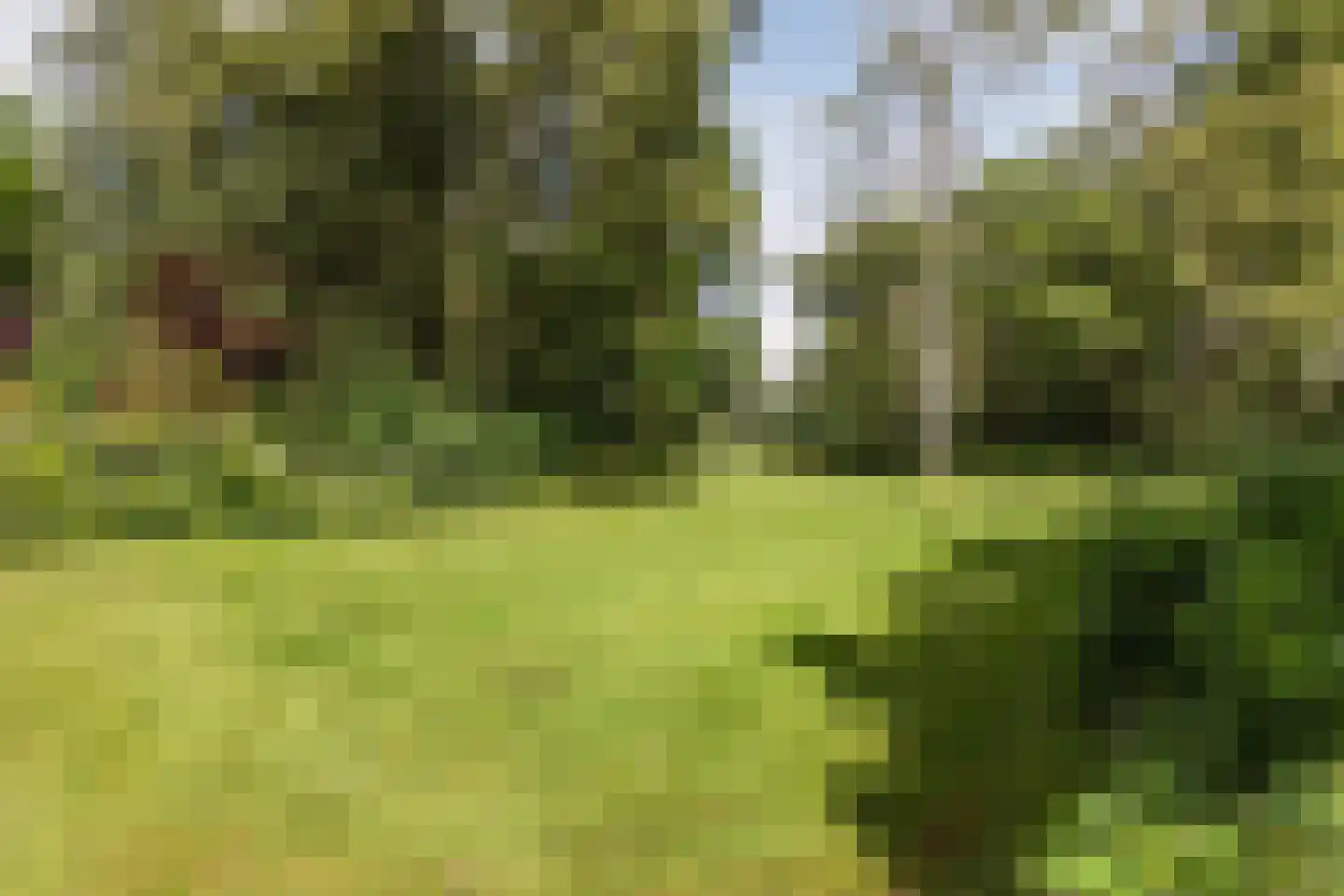 Tuinwijklaan 3 Haarlem thumbnail 67