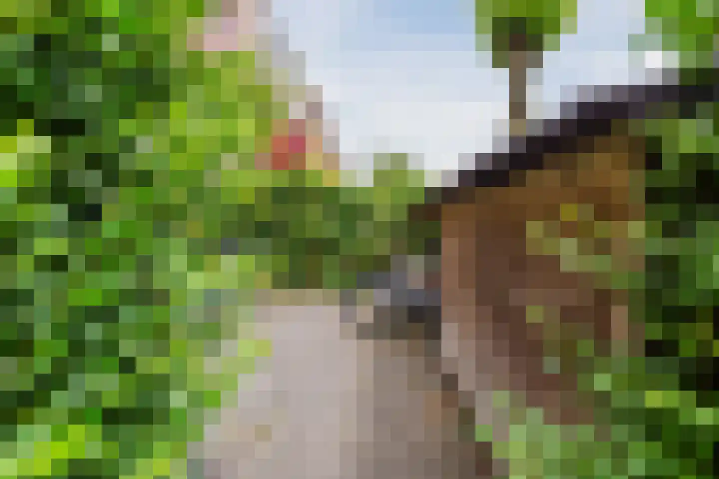 Tuinwijklaan 3 Haarlem thumbnail 7