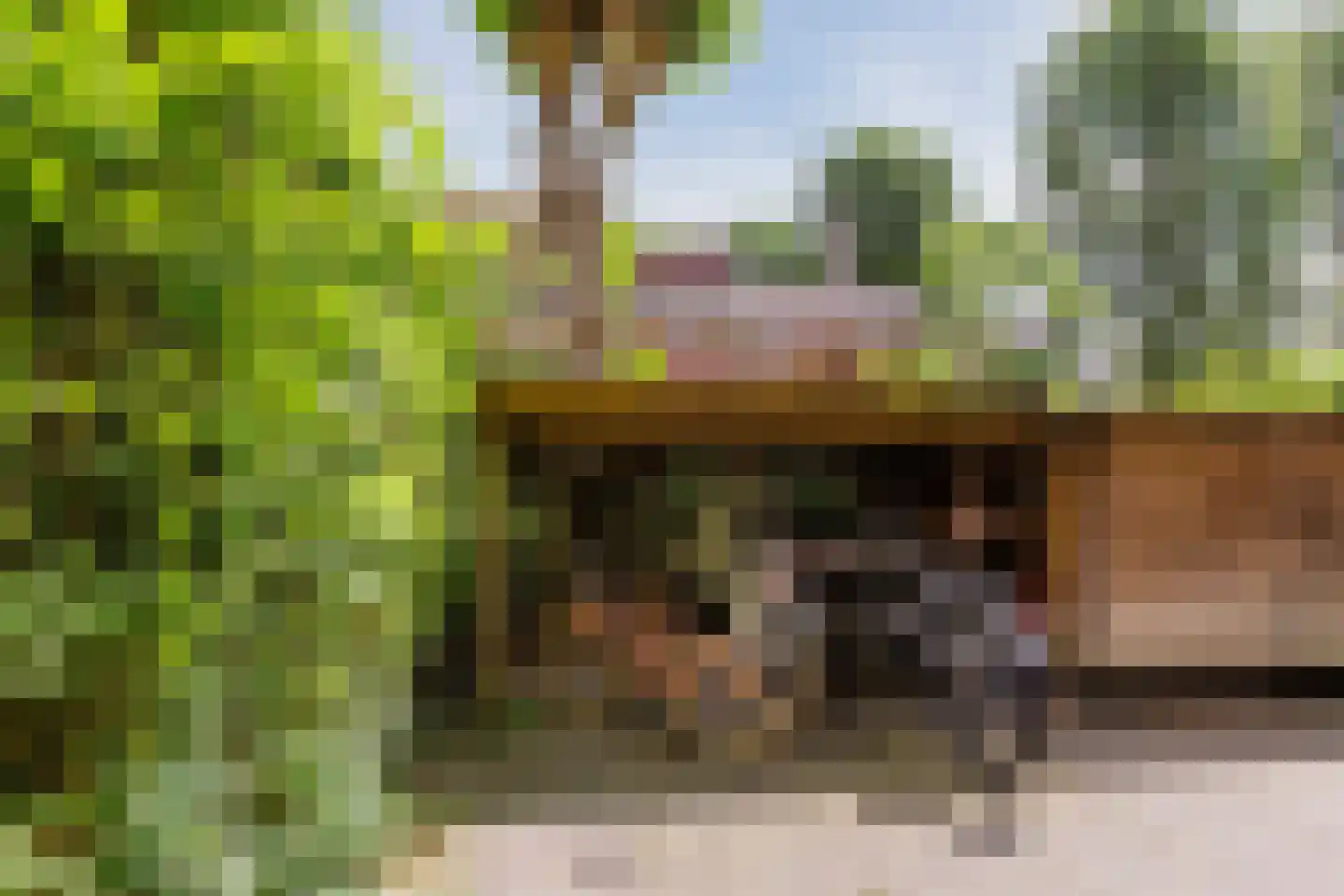 Tuinwijklaan 3 Haarlem thumbnail 8