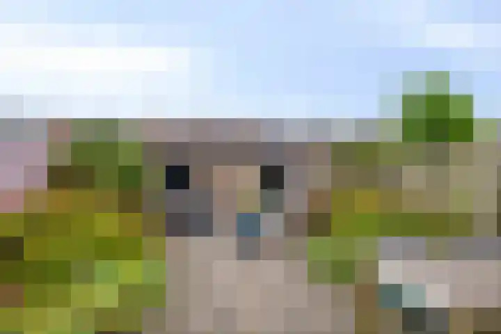 Tuinzigtlaan 118 Breda thumbnail 34