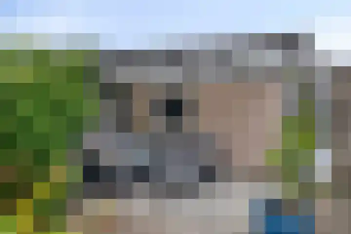Tuinzigtlaan 118 Breda thumbnail 35