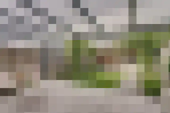 Tukkertstraat 19 Almelo thumbnail 30