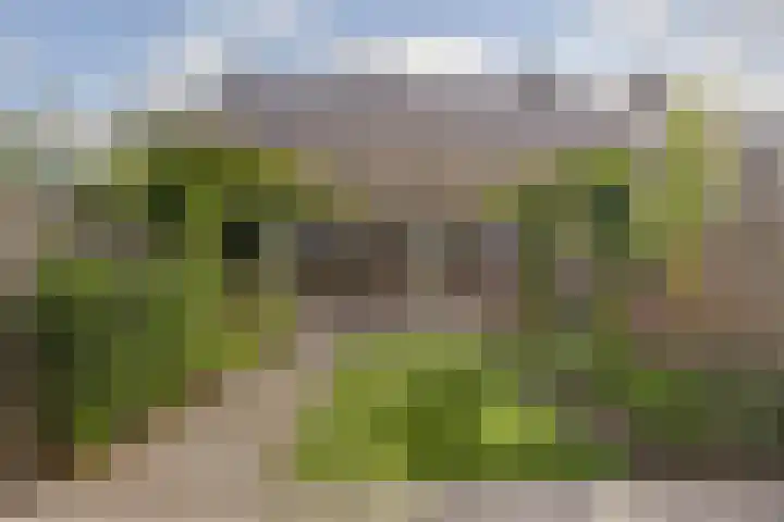 Tukkertstraat 19 Almelo thumbnail 33