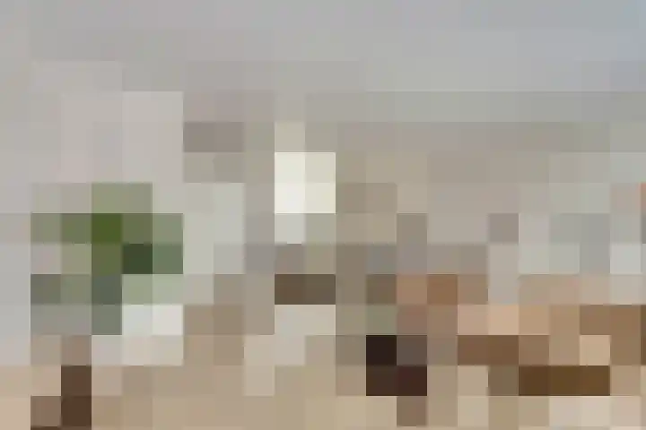 Tukkertstraat 19 Almelo thumbnail 5