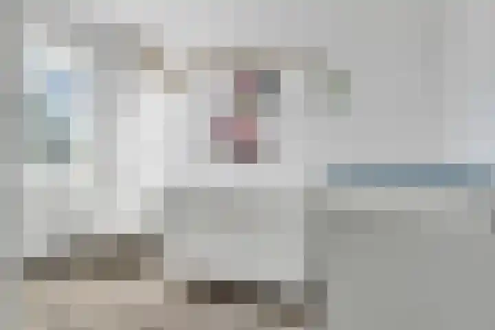 Tukkertstraat 31 Almelo thumbnail 22