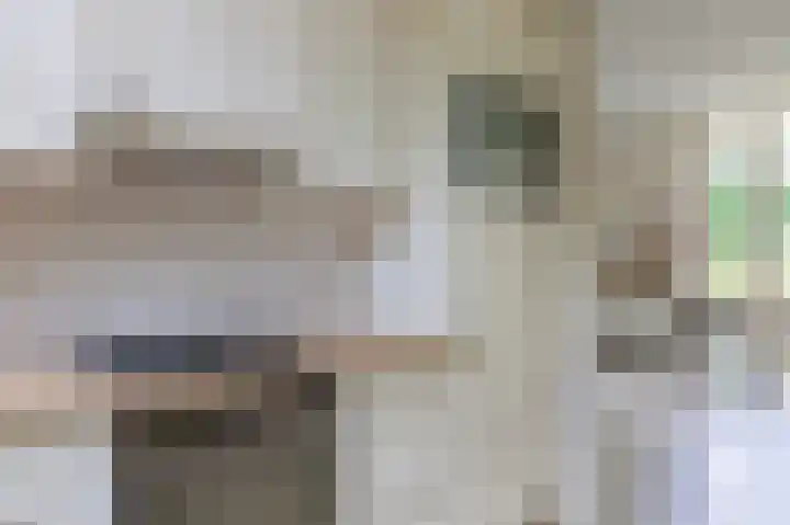 Tukseweg 117 Tuk thumbnail 16