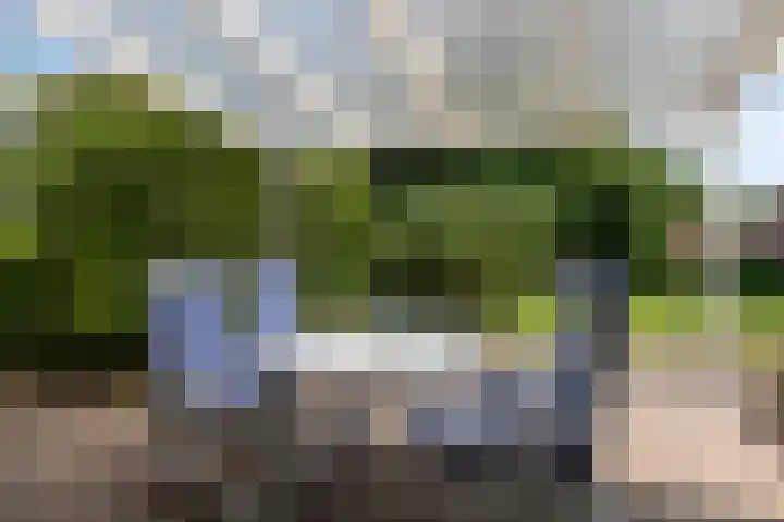 Tukseweg 117 Tuk thumbnail 47