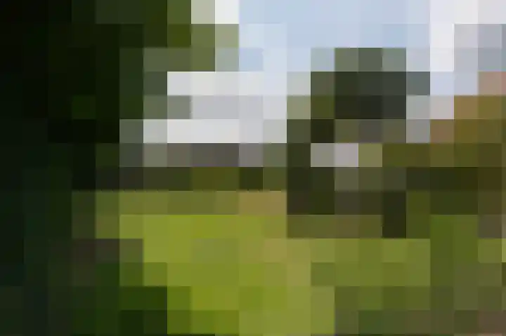 Tukseweg 117 Tuk thumbnail 50