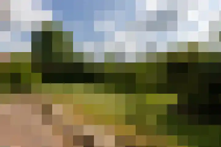 Tukseweg 117 Tuk thumbnail 52