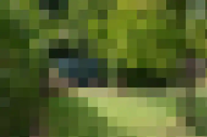 Tukseweg 117 Tuk thumbnail 53