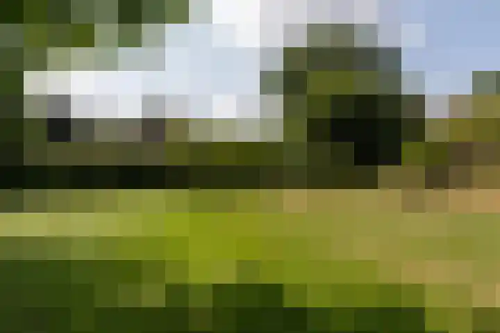 Tukseweg 117 Tuk thumbnail 56