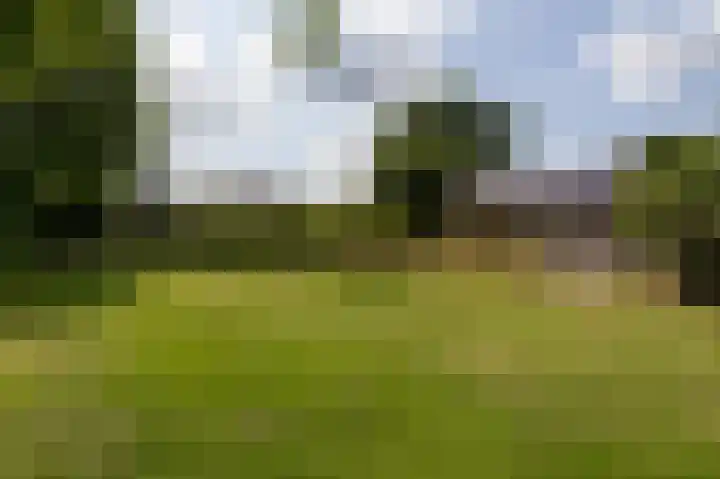 Tukseweg 117 Tuk thumbnail 60