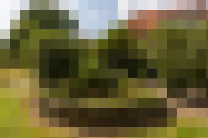 Tukseweg 117 Tuk thumbnail 61