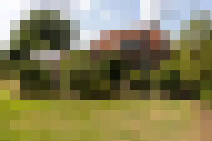 Tukseweg 117 Tuk thumbnail 62