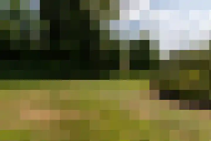 Tukseweg 117 Tuk thumbnail 64