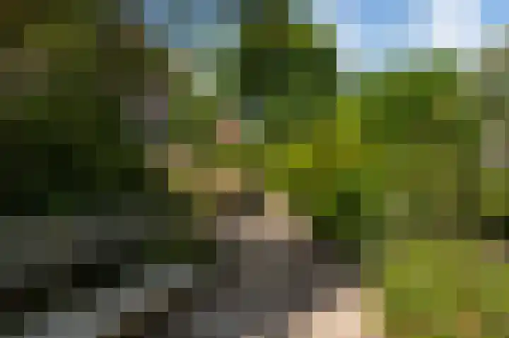 Tukseweg 117 Tuk thumbnail 65