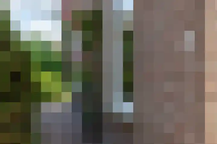 Tukseweg 117 Tuk thumbnail 66
