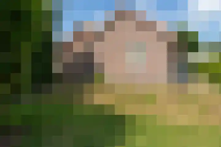 Tukseweg 117 Tuk thumbnail 67