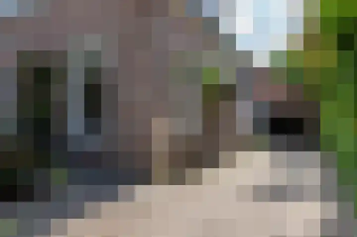 Tukseweg 117 Tuk thumbnail 74
