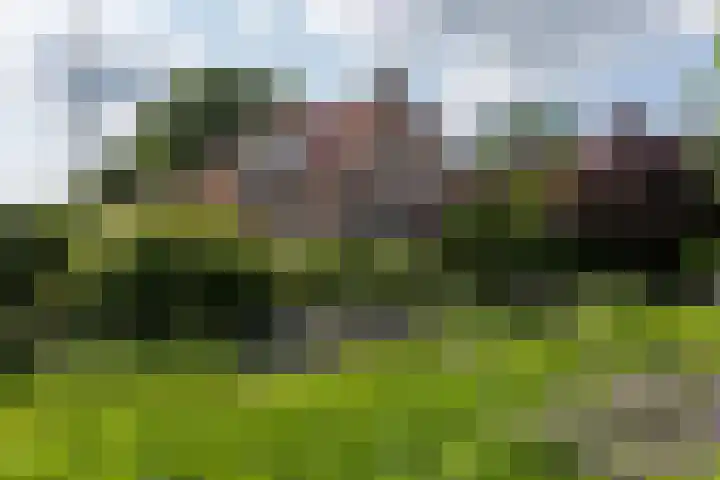 Tukseweg 117 Tuk thumbnail 76
