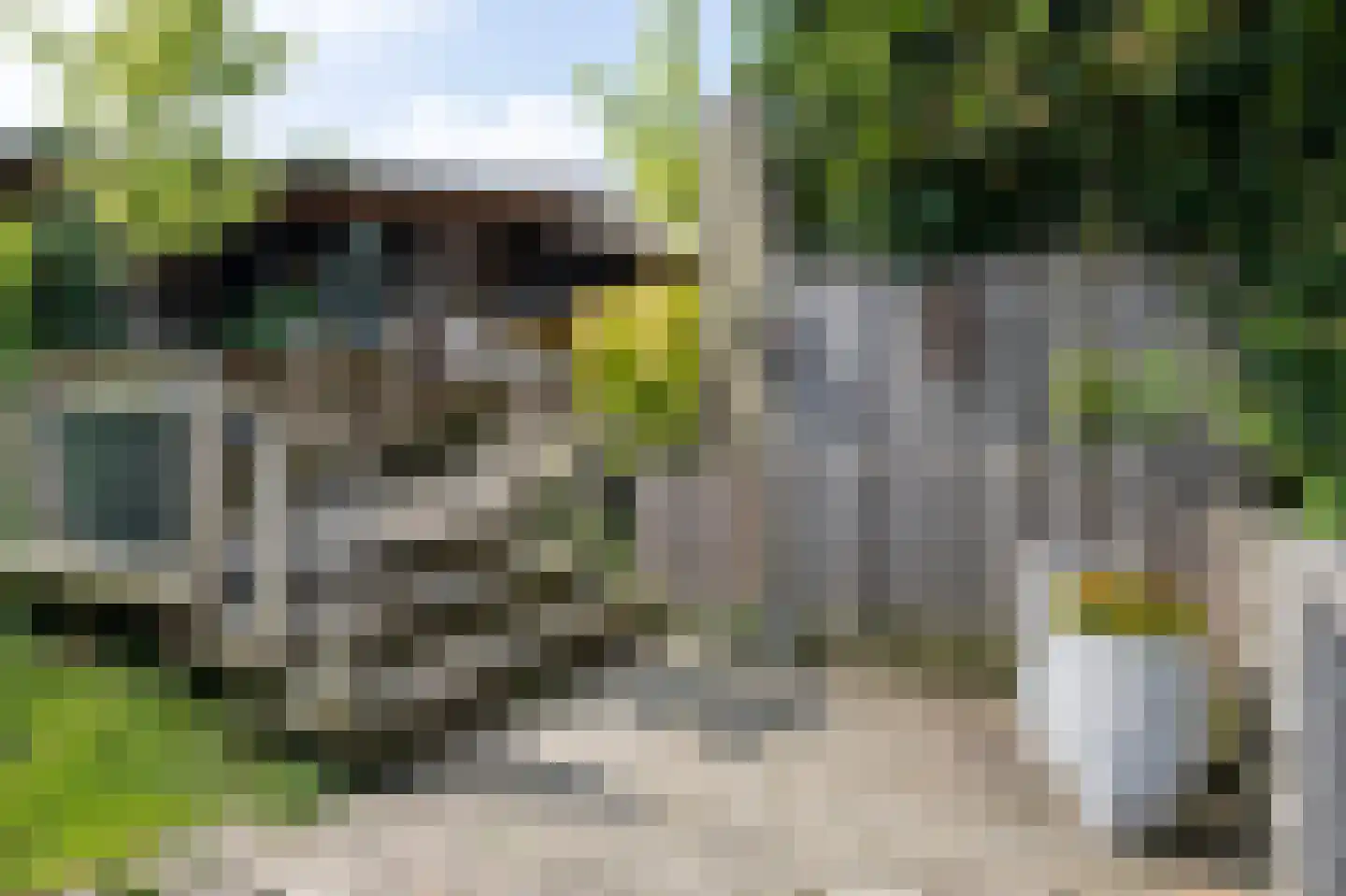 Tukseweg 118 Steenwijk thumbnail 43