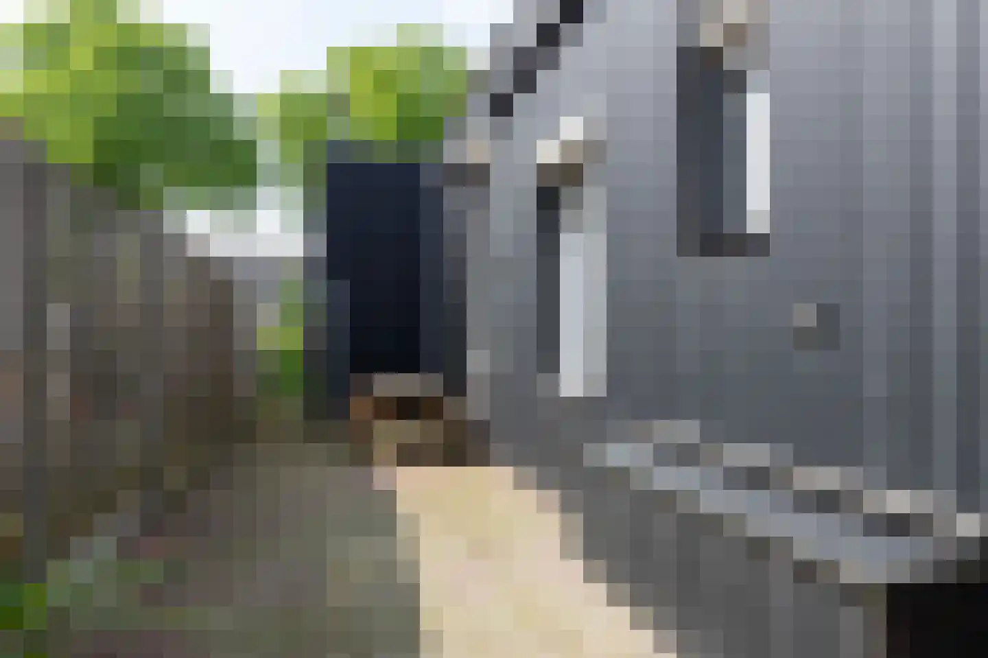 Tukseweg 118 Steenwijk thumbnail 45