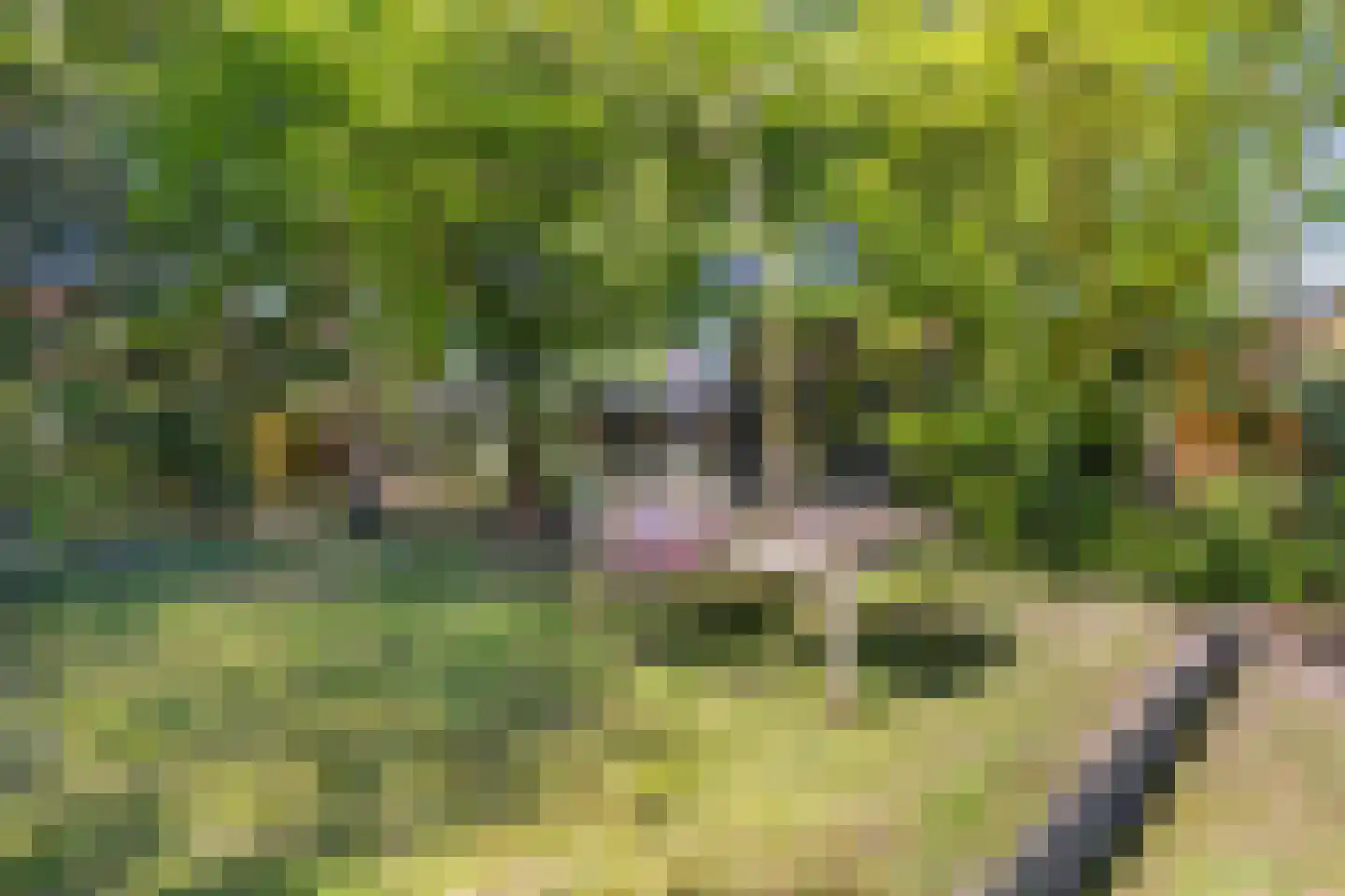 Tukseweg 167 Tuk thumbnail 36