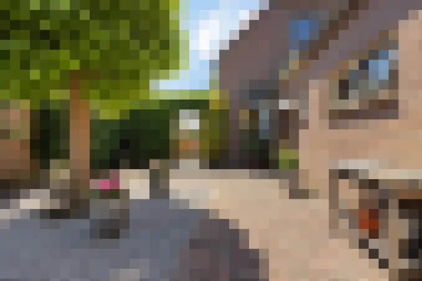 Tukseweg 194 Tuk thumbnail 33