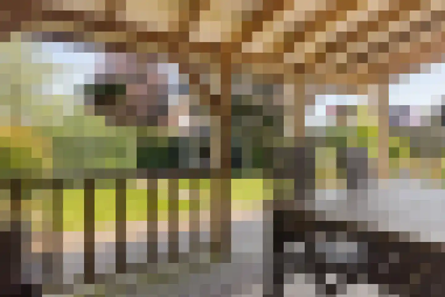 Tukseweg 194 Tuk thumbnail 4