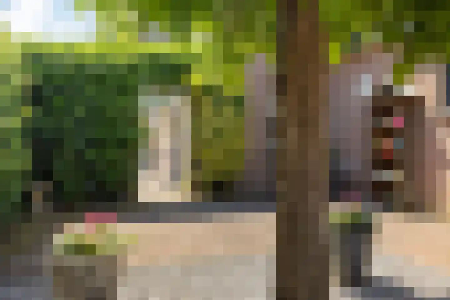 Tukseweg 194 Tuk thumbnail 42
