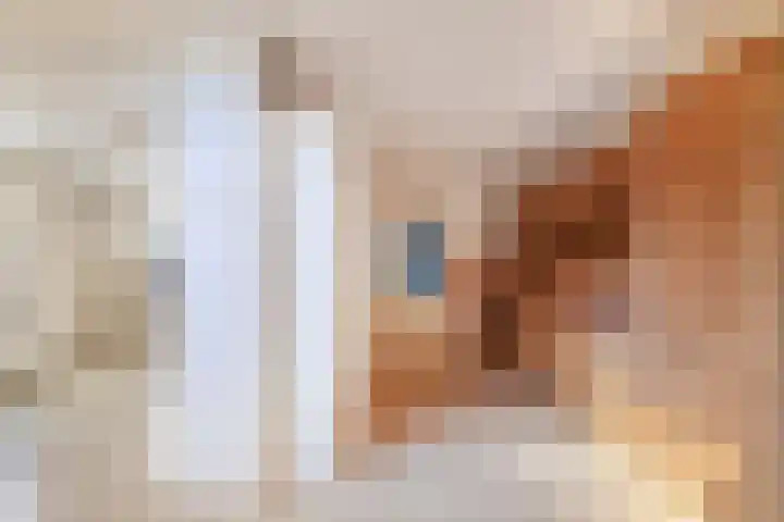 Tukseweg 210 Tuk thumbnail 10