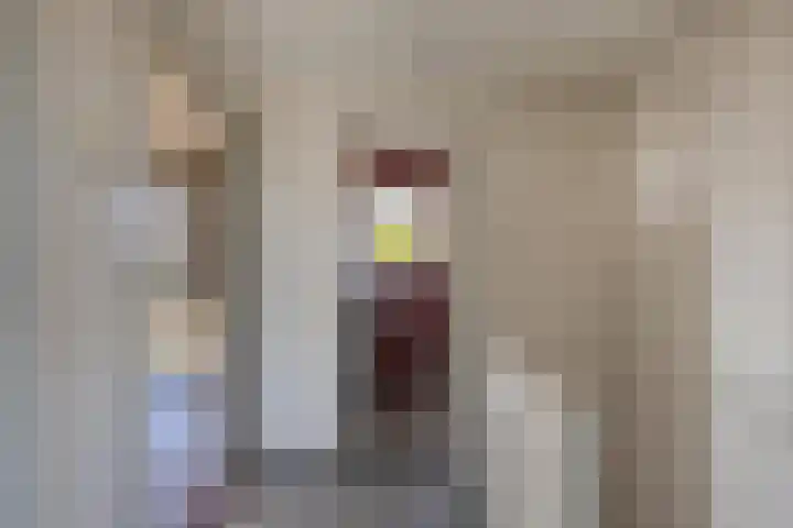 Tukseweg 210 Tuk thumbnail 23