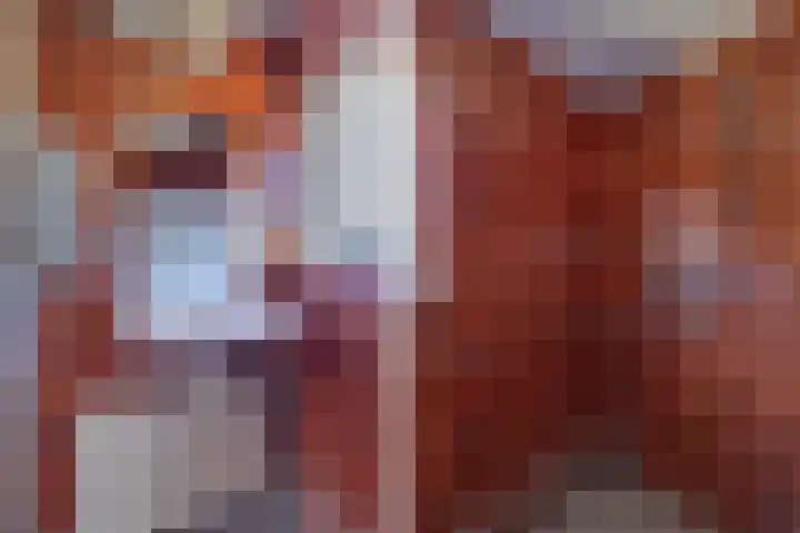 Tukseweg 210 Tuk thumbnail 24