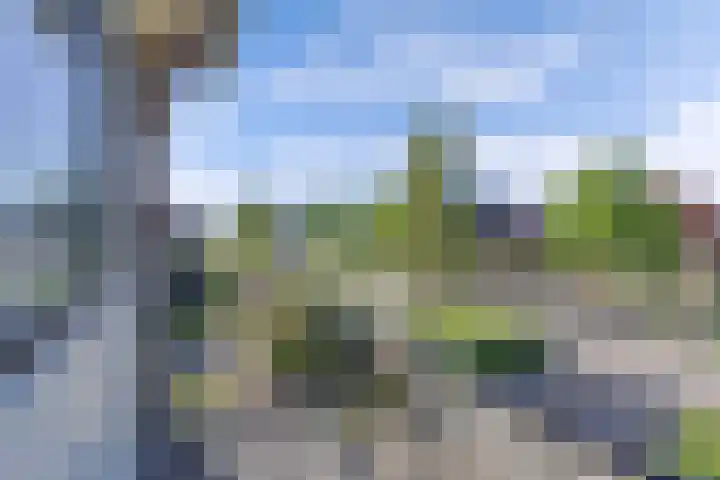 Tukseweg 210 Tuk thumbnail 28