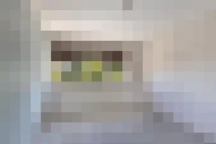 Tukseweg 210 Tuk thumbnail 30