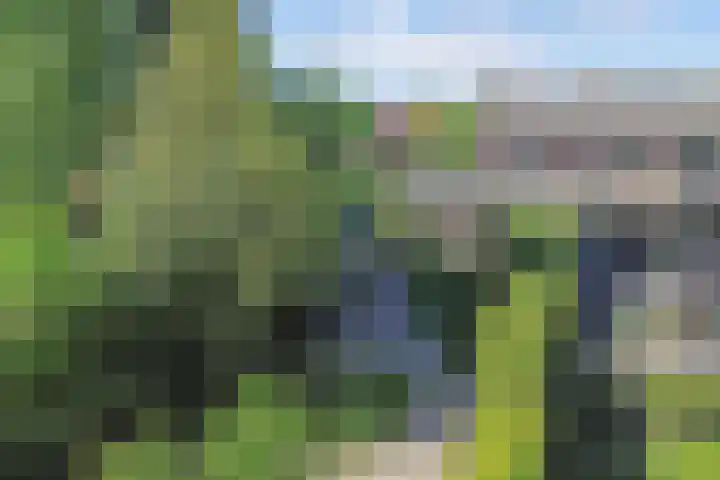 Tukseweg 210 Tuk thumbnail 37