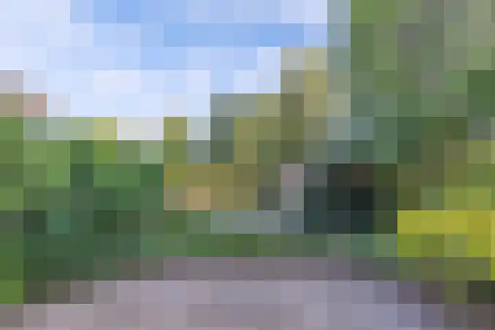 Tukseweg 210 Tuk thumbnail 38